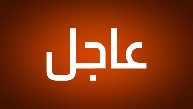 كلمة بوتين في افتتاح الجلسة العامة للقمة الثالثة "روسيا - إفريقيا".. التعاون وآفاق الشراكة