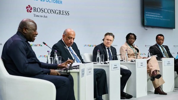وزير الكهرباء يبحث مع روسآتوم إقامة مشروع متكامل لتحلية مياه البحر