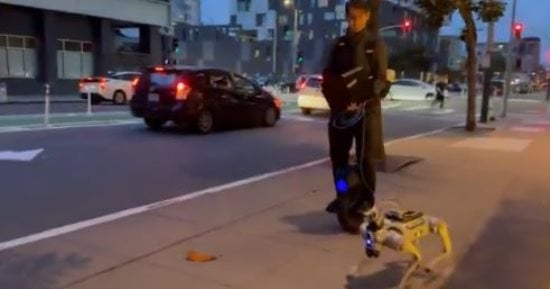 20 دولارًا فى الساعة.. وظيفة غير تقليدية فى أمريكا لتمشية الكلاب الروبوتية