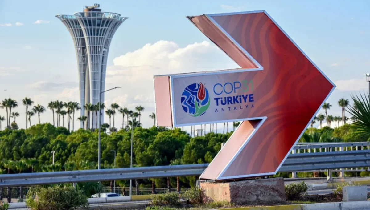 ماذا يجب أن تطالب به الدول العربية في COP31؟