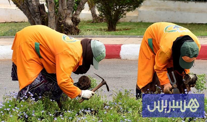 وزارة الداخلية تستنفر الجماعات الترابية لتسوية ملفات التقاعد العالقة