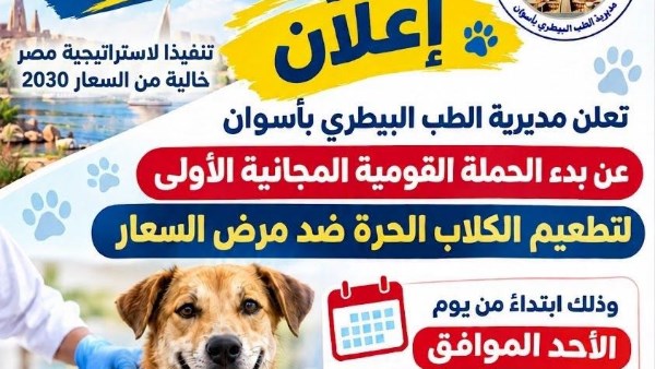 بيطرى أسوان يطلق حملة مجانية لتحصين الكلاب ضد مرض السعار بدءاً من 1 نوفمبر