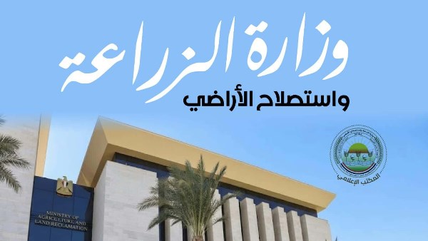 الزراعة: إطلاق حملة كبرى بجميع المحافظات لتحصين كلاب الشارع ضد السعار غدا