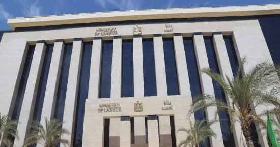 برواتب تصل إلى 30 ألف جنيه.. تعرف على فرص عمل للصيادلة