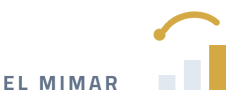 القصر